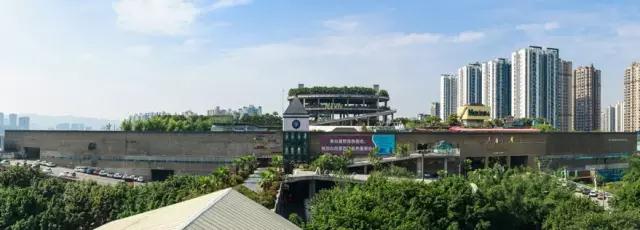 美心防盗门总部图